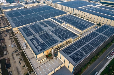 巨石集团有限公司